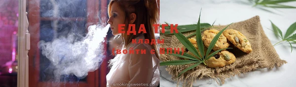 ECSTASY Алзамай