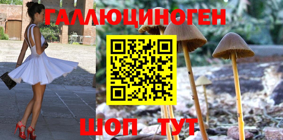 Псилоцибиновые грибы ЛСД  Вход с VPN  Павловский Посад 